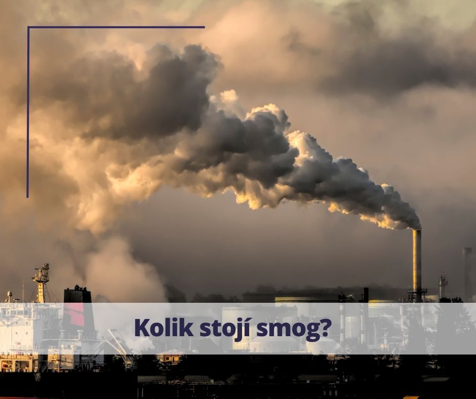 Kolik stojí smog?